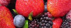 how to diet with fat burning fruits